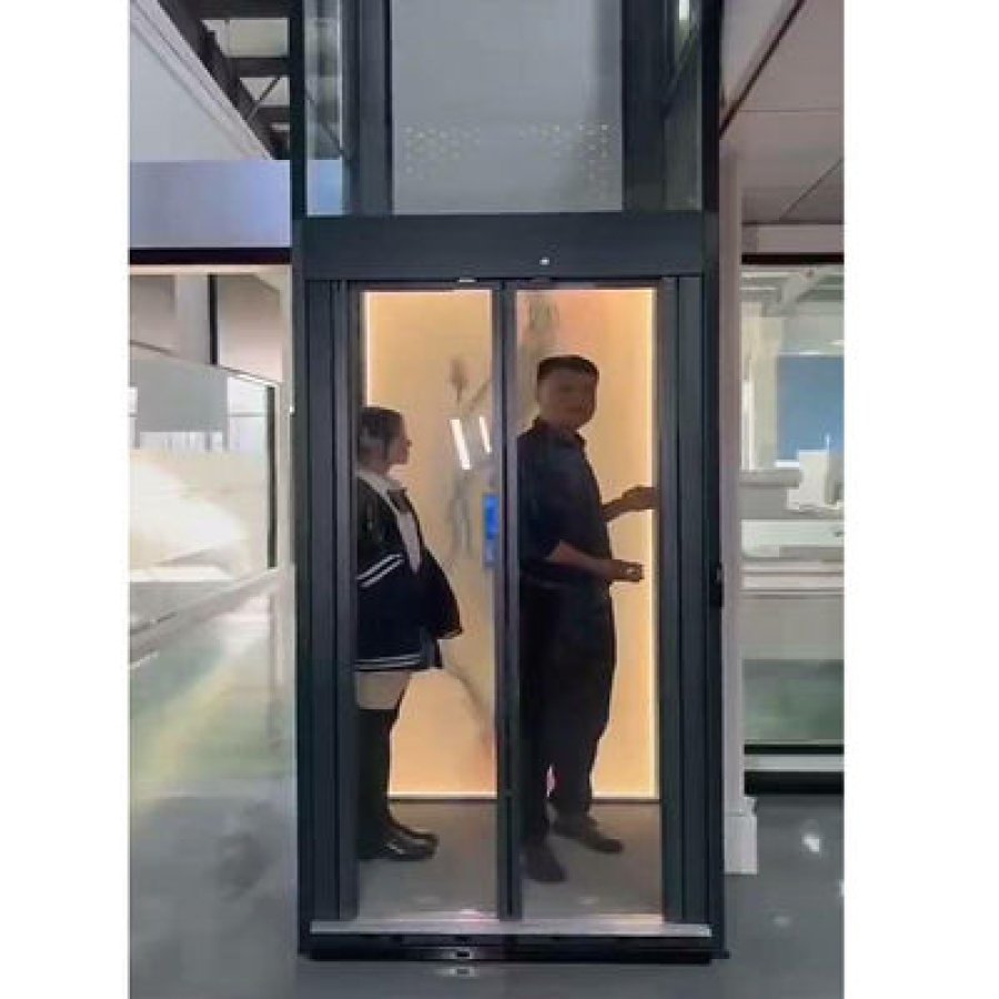 Luxury Traction Home Elevator | Smart Microprocessor Control